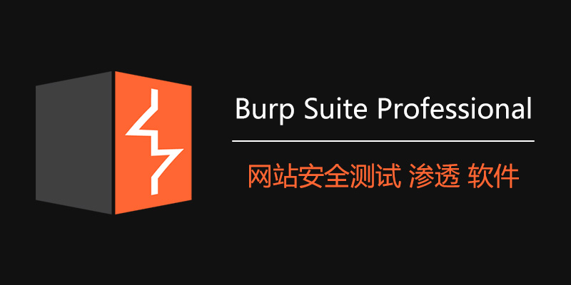 Burp Suite(Web应用安全测试工具) Professional 2025.7 汉化绿色版-维客博客